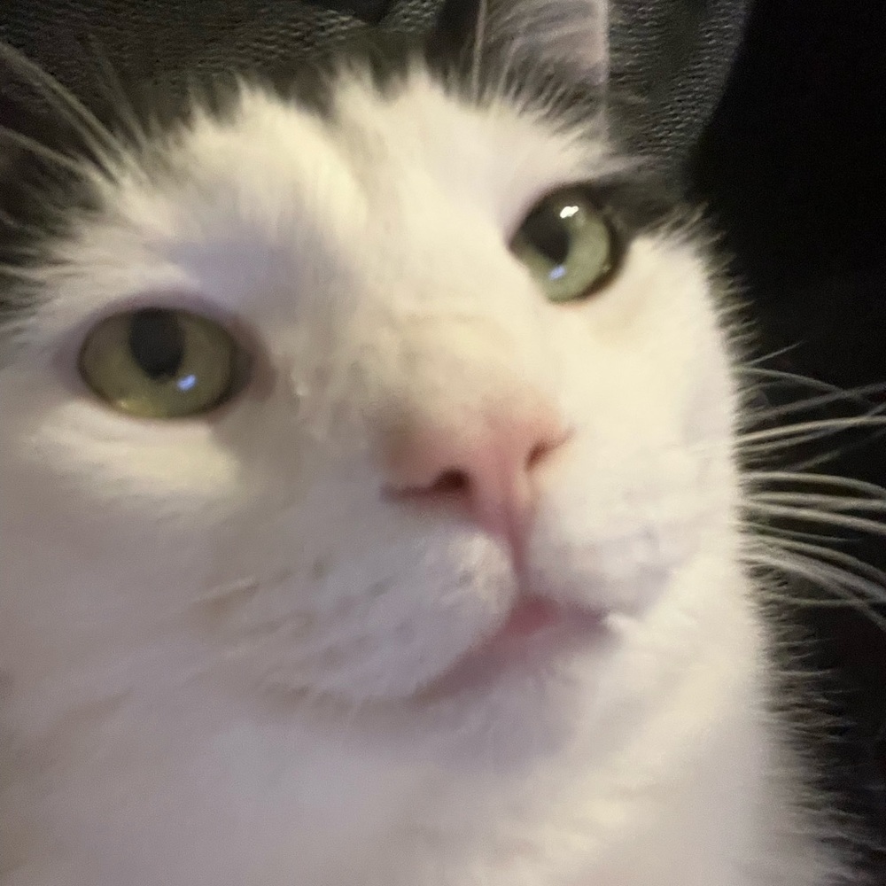 Meet your Posher, Alec